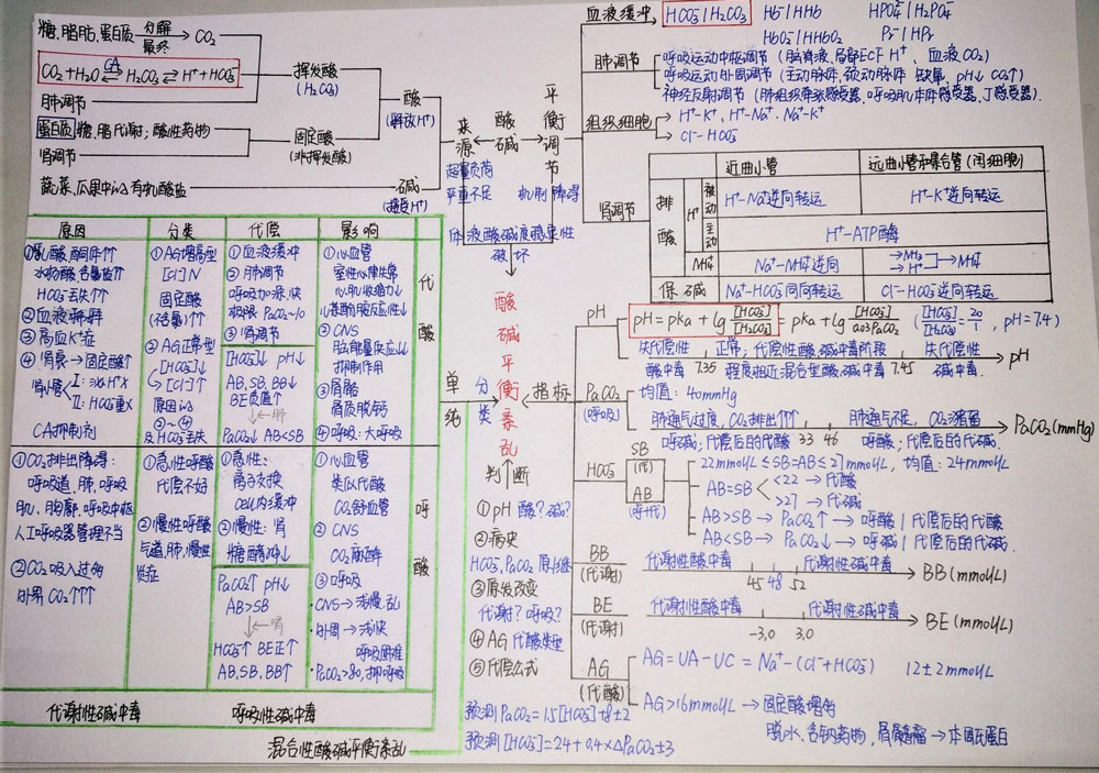 酸碱平衡和酸碱平衡紊乱  