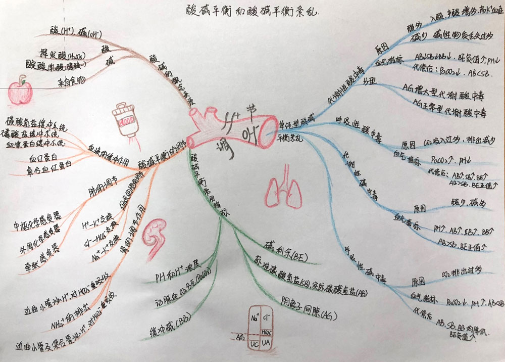 酸碱平衡和酸,碱平衡紊乱 